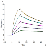 Human TNFSF15 Trimer Protein BP005610 Syd Labs