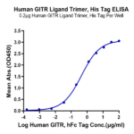 Human GITR Ligand/TNFSF18 Trimer Protein BP005599 Syd Labs