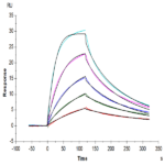 Mouse TNFSF15 Protein BP004463 Syd Labs