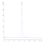 Cynomolgus FSHB Protein BP003434 Syd Labs