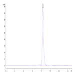 Human FSHB Protein BP004694 Syd Labs