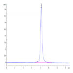 Human FSTL1 Protein BP003896 Syd Labs