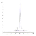 Mouse FSTL1 Protein BP003884 Syd Labs