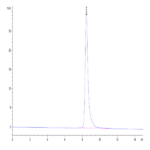 Cynomolgus Coagulation factor XI Protein BP003469 Syd Labs