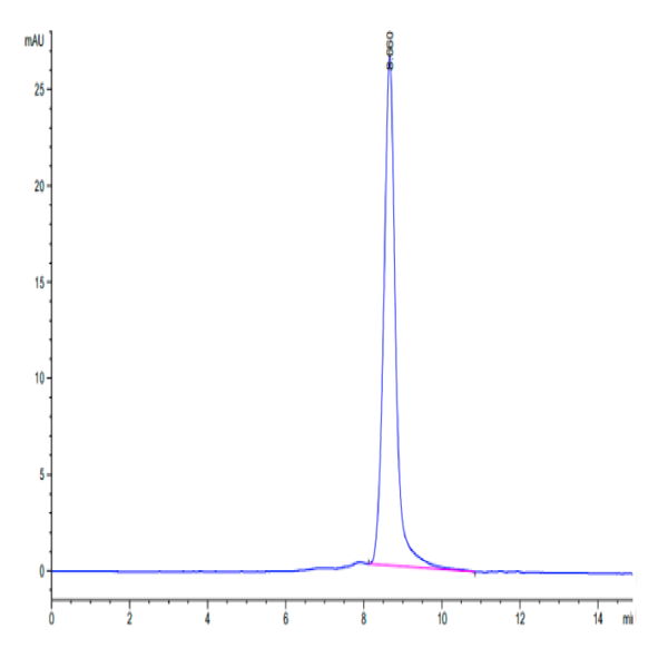 Cynomolgus GAS6 Protein (GAS-CM106)