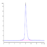 Human GAS6 Protein (GAS-HM116)