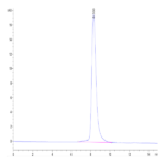 Mouse GAS6 Protein (GAS-MM106)