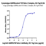 Cynomolgus GARP&Latent TGF beta 1 Complex Protein BP005169 Syd Labs