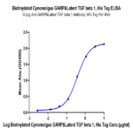 Biotinylated Cynomolgus GARP&Latent TGF beta 1 Complex Protein BP005168 Syd Labs