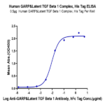 Human GARP&Latent TGF Beta 1 Complex Protein BP005185 Syd Labs