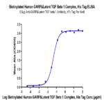 Biotinylated Human GARP&Latent TGF beta 1 Complex Protein BP005119 Syd Labs