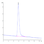 Human GARP&Latent TGF Beta 2 Complex Protein BP003882 Syd Labs