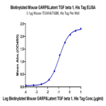 Biotinylated Mouse GARP&Latent TGF beta 1 Complex Protein BP005079 Syd Labs