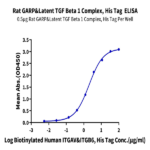 Rat GARP&Latent TGF Beta 1 Complex Protein BP004108 Syd Labs