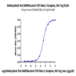 Biotinylated Rat GARP&Latent TGF Beta 1 Complex Protein BP004109 Syd Labs
