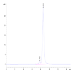 Human GBA/glucocerebrosidase Protein BP003833 Syd Labs