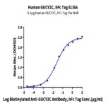 Human GUCY2C/Guanylyl cyclase C Protein BP004810 Syd Labs