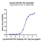 Human GUCY2C/Guanylyl cyclase C Protein BP005592 Syd Labs