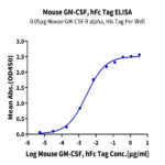 Mouse GM-CSF Protein BP003303 Syd Labs