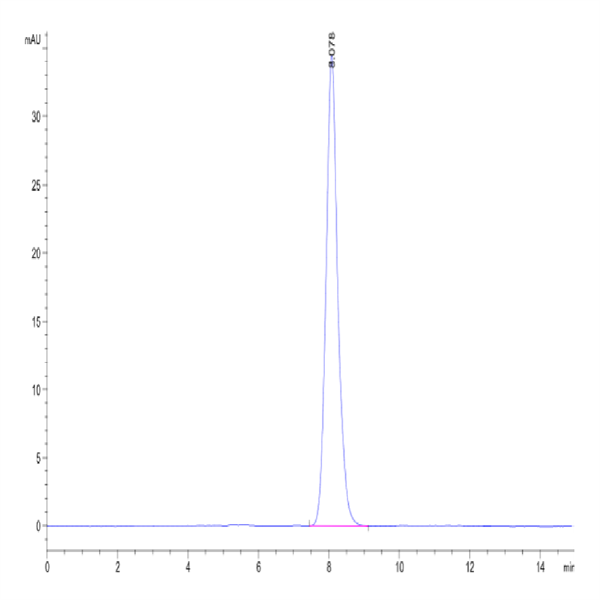 Mouse GM-CSF Protein (GCF-MM201)
