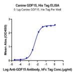 Canine GDF15 Protein BP003740 Syd Labs