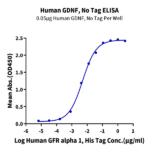 Human GDNF Protein BP003729 Syd Labs