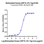 Biotinylated Human GDF15 Protein N-hFc Tag (Primary Amine Labeling) BP005010 Syd Labs