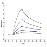 Mouse GDF15 Protein BP003920 Syd Labs