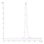 Mouse GEP Protein BP004498 Syd Labs