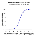 Human GFR alpha 1 Protein BP005021 Syd Labs