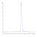 Human GGT1 Protein BP003890 Syd Labs