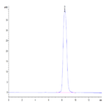 Human GHR/Growth Hormone R Protein BP005042 Syd Labs