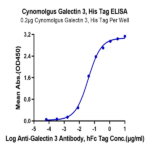 Cynomolgus Galectin 3 Protein BP003664 Syd Labs