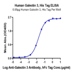 Human Galectin 3 Protein BP005422 Syd Labs