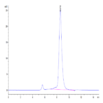Human GP1BB Protein BP004588 Syd Labs