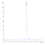 Mouse GP1BB Protein BP004607 Syd Labs
