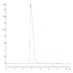 Human CD42a/GP9 Protein BP004597 Syd Labs