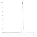 Human GPA34/VSIG1 Protein BP004488 Syd Labs