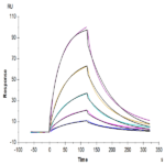 Human GPA Protein BP004908 Syd Labs