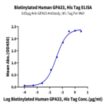 Biotinylated Human GPA33/A33 Protein BP005660 Syd Labs