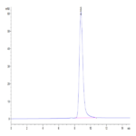 Mouse GPA33/A33 Protein BP004173 Syd Labs