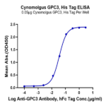Cynomolgus GPC3/Glypican 3 Protein BP005020 Syd Labs