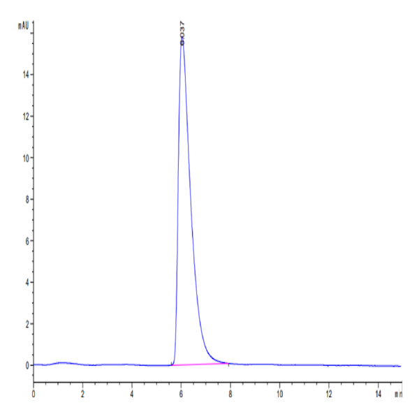 Cynomolgus GPC3/Glypican 3 Protein (GPC-CM131)
