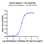 Human Glypican 1/GPC1 Protein BP005019 Syd Labs