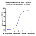Biotinylated Human GPC3/Glypican 3 Protein BP005018 Syd Labs