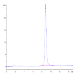 Mouse Glypican 1/GPC1 Protein BP004430 Syd Labs