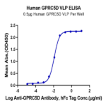Human GPRC5D Protein-VLP BP005191 Syd Labs