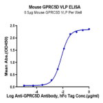 Mouse GPRC5D Protein-VLP BP003589 Syd Labs