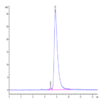 Canine GRP-10 proform Protein BP004070 Syd Labs