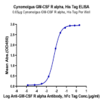 Cynomolgus GM-CSF R alpha Protein BP003706 Syd Labs